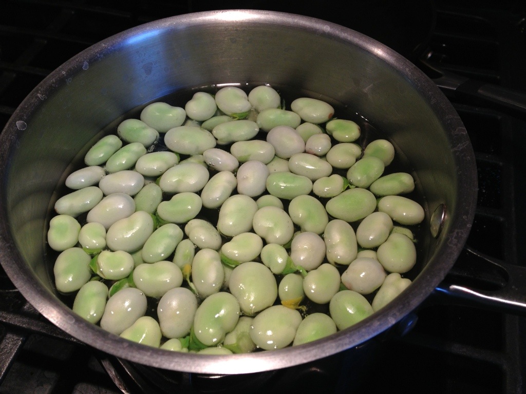 fava beans soaking in water 