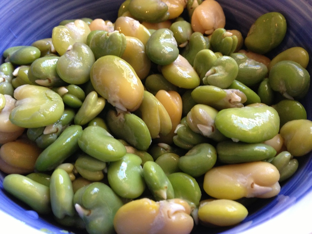 fava beans in bowl 